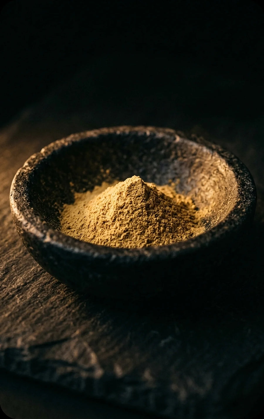 Ginkgo Biloba